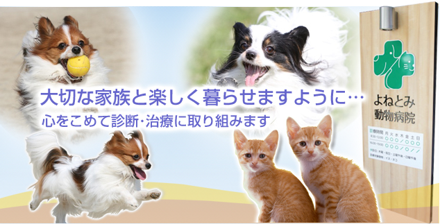 大切な家族と楽しく暮らせますように・・・　心をこめて診断・治療に取り組みます